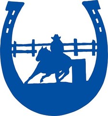Horse Barrel Racing Rodeo Cowgirl Horseshoe Car Truck Window Vinyl Decal Sticker