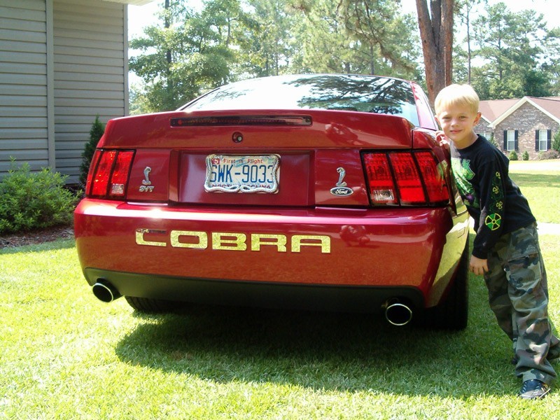 Cobra Stainless Steel Inserts letters (2003-2004)
