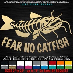 Catfish Fear No Catfish Look Right