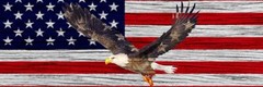 American Flag Pick Up Truck SUV Rear Back Window Graphics Decal Wrap Tint #19