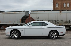 FOR 2011-2023 Dodge Challenger SXT SIDE STRIPE Body Decal Vinyl Graphics
