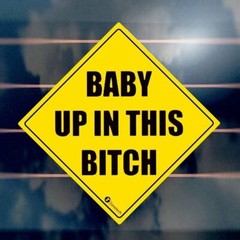 Zone Tech 2x Baby Up In This Bitch Car Window Bumper Reflective Window Stickers