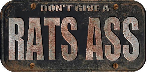 ProSticker 762 (One) 4″x 8″ Don’t Give A Rat’s Ass Decal Sticker Not A Plate