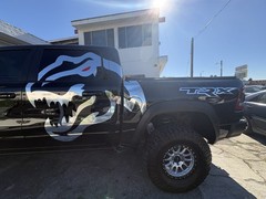 T-Rex Dino Both Sides With Bed Decals Both Sides As Well Total Of 4 Decals