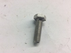 Polaris Screw 7516805 New OEM Stainless Steel Screw 2000 Genesis PWC