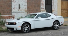 FOR 2011-2023 Dodge Challenger SXT SIDE STRIPE Body Decal Vinyl Graphics