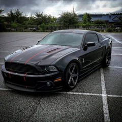 FOR FORD MUSTANG 10″ & 1/2″ Pinstripe Twin Vinyl Stripes Decals Graphics 36 FEET
