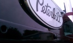 3 Custom Orange Peterbilt Flame Grille & Hood Decal Emblems 359 379 378 353 377