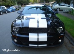 10 11 12 13 14 Ford MUSTANG 10″ DUEL Racing Vinyl Stripe Graphic Decal 36 FT.