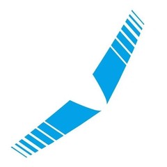 Racing Hood Stripes Decal Vinyl Stickers for Car SUV Truck Universal Fit