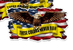 American Flag Eagle These Colors Never Run Decal Mirrored Pro America 6″ x 3.4″