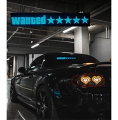 WANTED 5 STARS JDM Glow Panel Electric Lamp Interior LED Light Window Sticker