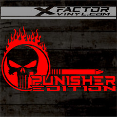 Flaming Skull Punishment Limited Edition Dicut Decal 2 Sizes FREE SHIPPING