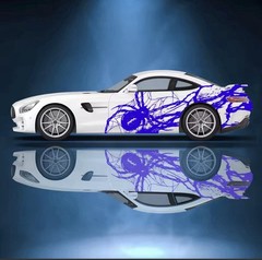 Spider Car Decal; Custom Sport Car Show Decal; Both Sides Universal Fit