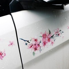 Realistic Cherry Blossom Bumper Sticker – Pink Floral Vinyl 10×9.5 in