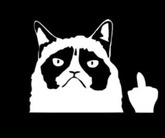 Grumpy Cat Angry Flippin’ Off Funny Car Window Vinyl Decal Sticker 6.5″ x 4.5″