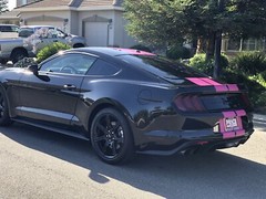 VVivid Xpo Matte Magenta Vinyl Car Wrap Film | V156