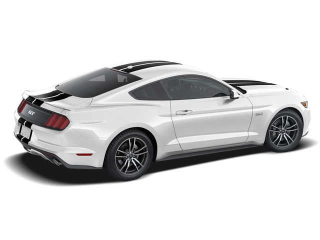 Genuine Ford Kit Decal VGR3Z-6320000-CC