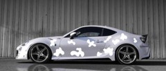 livery camouflage universal side wall car design