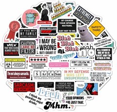 100 Unique Sarcastic Vinyl Stickers – Waterproof Decals for Personal Expression
