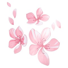Pink-Cherry Blossom Vinyl Car Sticker Auto Flower Decal Windshield Windo Bumper
