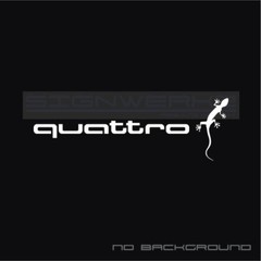 Audi Gecko quattro decal Sticker EURO Racing mod A4 S4 S3 TT R8 A6 Q5 Pair