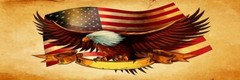 Eagle&Flag Pick Up Truck SUV Rear Back Window Graphics Decal Wrap Tint #47
