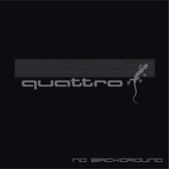 Audi Gecko quattro decal Sticker EURO Racing mod A4 S4 S3 TT R8 A6 Q5 Pair