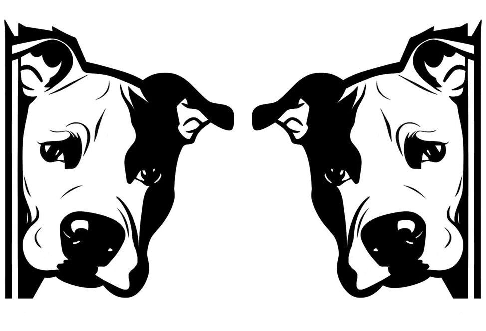 Two Pitbull Bulldogs Peeking Rendering Black Vinyl Decal Car Truck Window Tablet