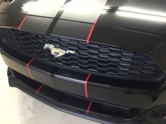 Ford Mustang Racing Stripes 36 Feet 10″ Graphic Decal Sticker & Red Pinstripe